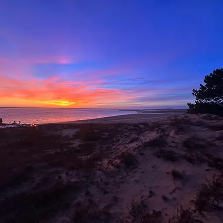 بيت للعطل Villa 3 Chambres, 7 Pers., Terrasse, Parking, La Palmyre - Fr-1-705-63