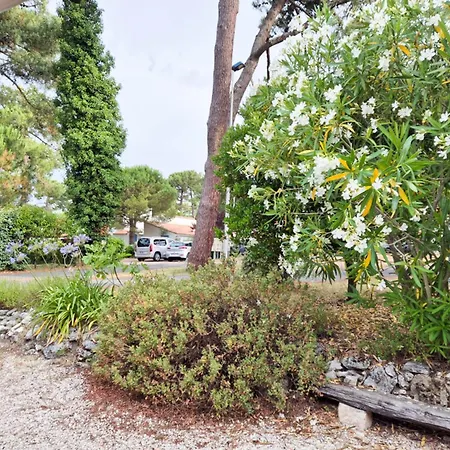 Villa 3 Chambres, 7 Pers., Terrasse, Parking, La Palmyre - Fr-1-705-63 بيت للعطل