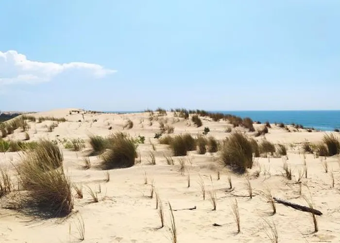 3 Chambres, 7 Pers., Terrasse, Parking, La Palmyre - Fr-1-705-63 *